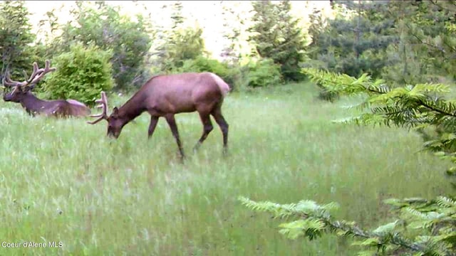 3794 S Elk Rd, Harrison, ID 83833 - photo 9