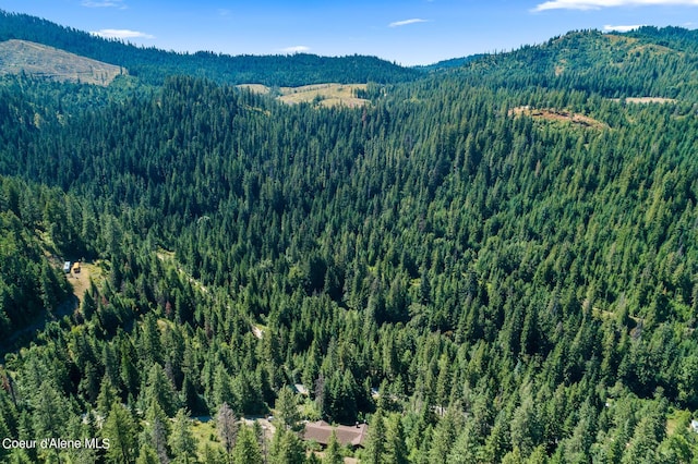 3794 S Elk Rd, Harrison, ID 83833 - photo 12