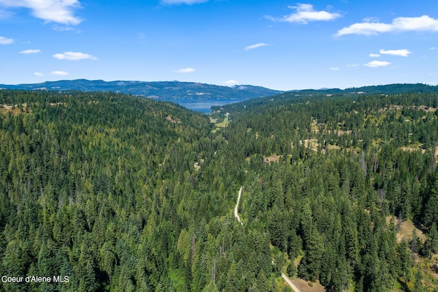 3794 S Elk Rd, Harrison, ID 83833 - photo 13