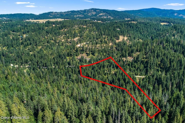 3794 S Elk Rd, Harrison, ID 83833 - photo 15