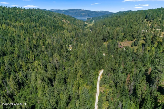 3794 S Elk Rd, Harrison, ID 83833 - photo 16