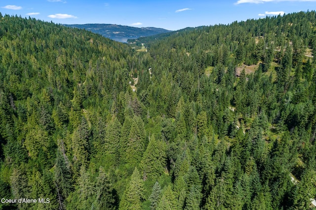 3794 S Elk Rd, Harrison, ID 83833 - photo 17