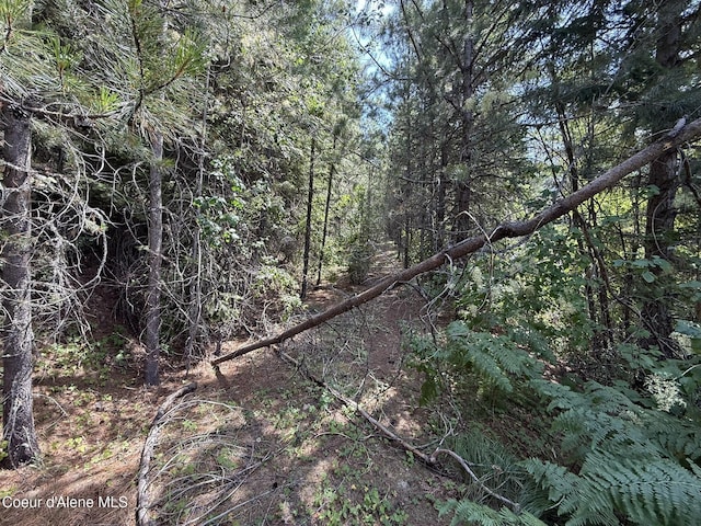 372 Maple Ln, Fernwood, ID 83830 - photo 2