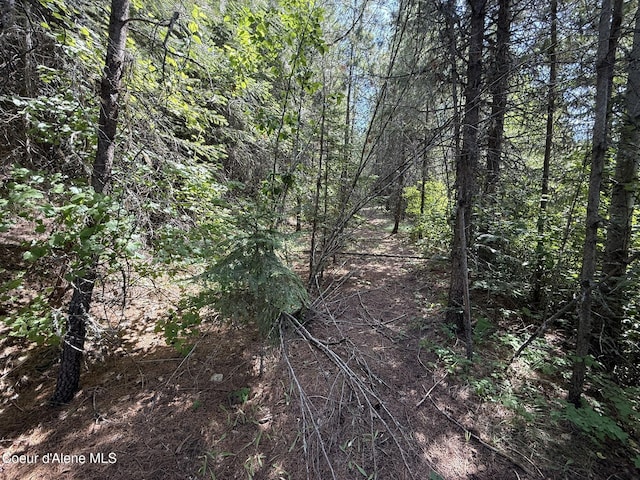 372 Maple Ln, Fernwood, ID 83830 - photo 3
