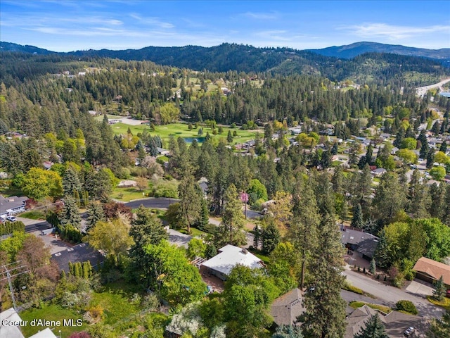 2207 E Crestline Dr, Coeur Dalene, ID 83814 - photo 63