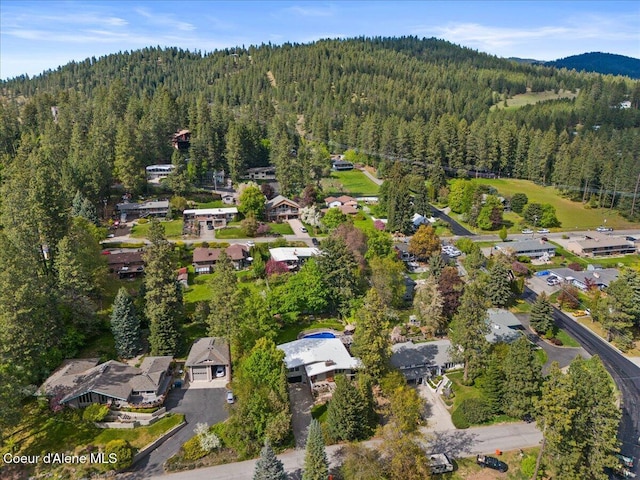 2207 E Crestline Dr, Coeur Dalene, ID 83814 - photo 67