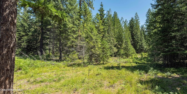 631 Wolverine Rd, Moyie Springs, ID 83845 - photo 59
