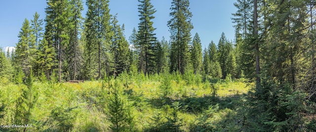 631 Wolverine Rd, Moyie Springs, ID 83845 - photo 52