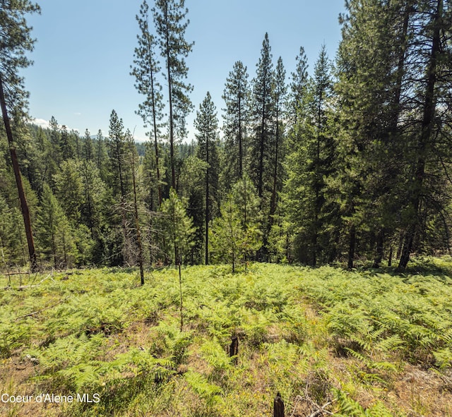 631 Wolverine Rd, Moyie Springs, ID 83845 - photo 6