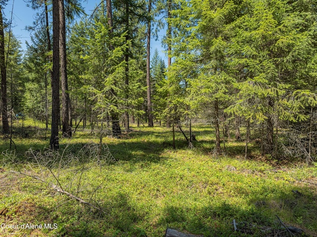 631 Wolverine Rd, Moyie Springs, ID 83845 - photo 7