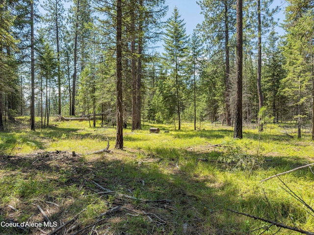 631 Wolverine Rd, Moyie Springs, ID 83845 - photo 4