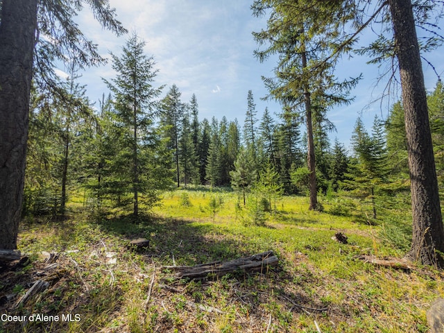 631 Wolverine Rd, Moyie Springs, ID 83845 - photo 63