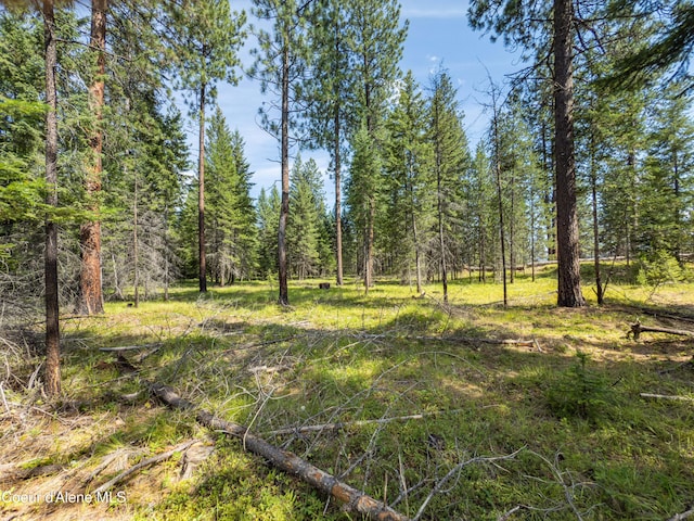 631 Wolverine Rd, Moyie Springs, ID 83845 - photo 57