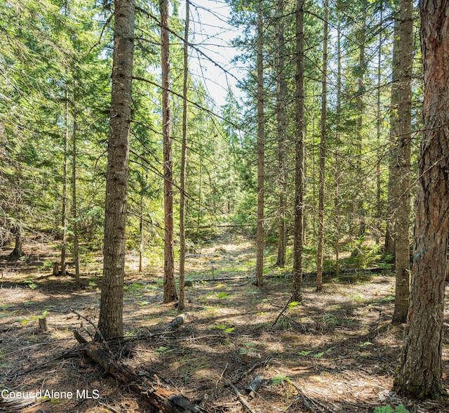 631 Wolverine Rd, Moyie Springs, ID 83845 - photo 64