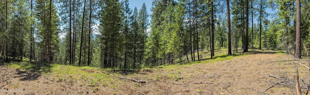 631 Wolverine Rd, Moyie Springs, ID 83845 - photo 56
