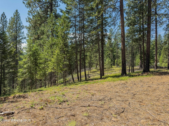 631 Wolverine Rd, Moyie Springs, ID 83845 - photo 58