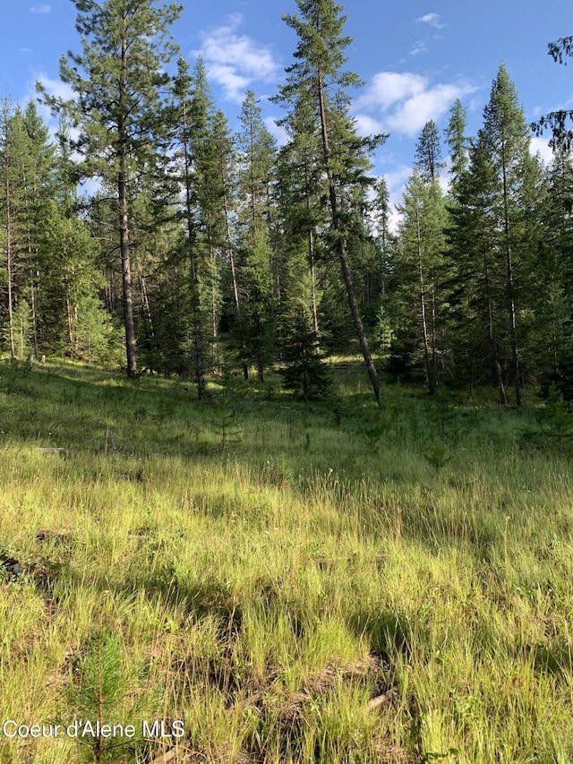 631 Wolverine Rd, Moyie Springs, ID 83845 - photo 54