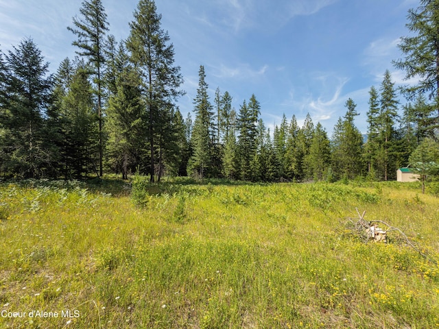 631 Wolverine Rd, Moyie Springs, ID 83845 - photo 51