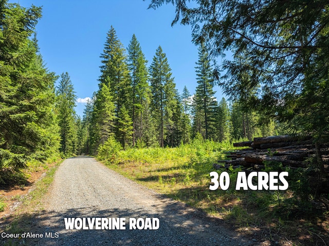 631 Wolverine Rd, Moyie Springs, ID 83845 - photo 41