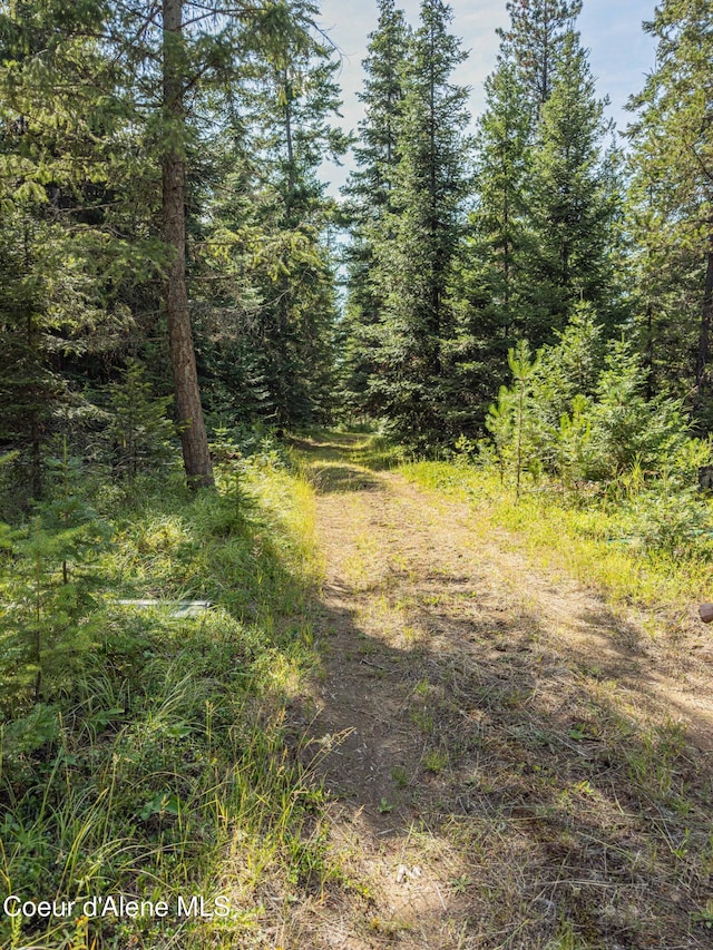 631 Wolverine Rd, Moyie Springs, ID 83845 - photo 45