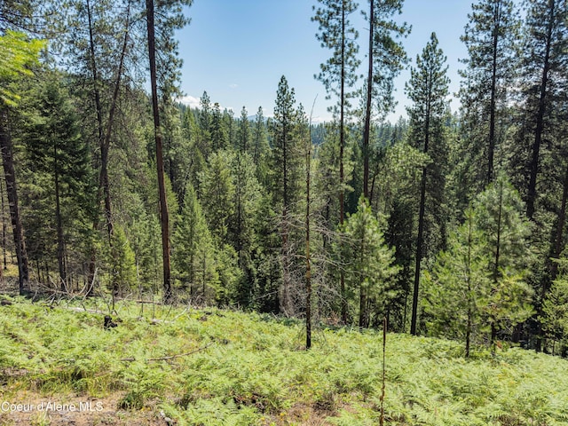631 Wolverine Rd, Moyie Springs, ID 83845 - photo 62