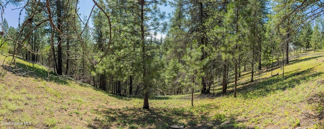 631 Wolverine Rd, Moyie Springs, ID 83845 - photo 65