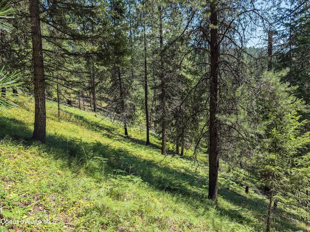 631 Wolverine Rd, Moyie Springs, ID 83845 - photo 67