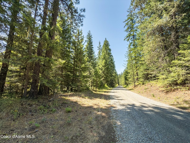 631 Wolverine Rd, Moyie Springs, ID 83845 - photo 68