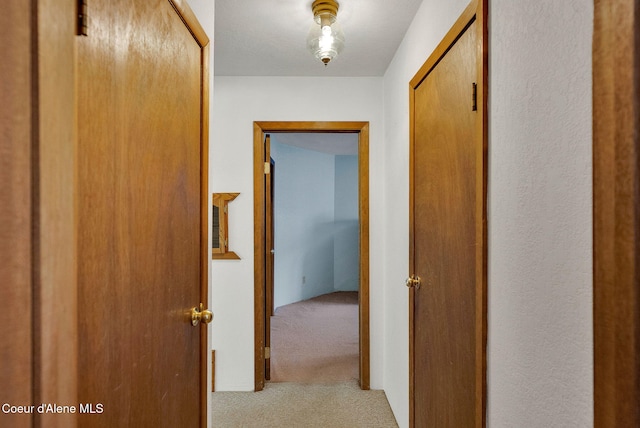 3115 Cherry Creek Rd, Saint Maries, ID 83861 - photo 16