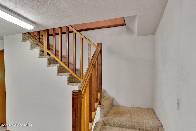 3115 Cherry Creek Rd, Saint Maries, ID 83861 - photo 25
