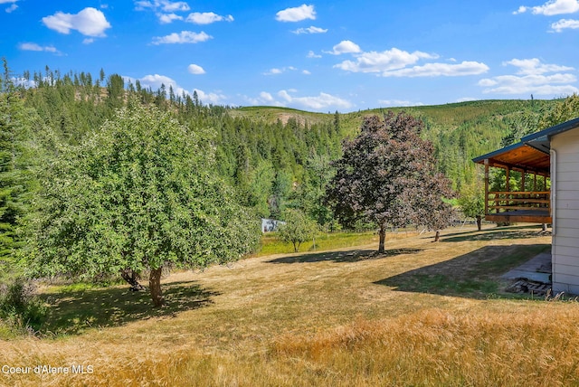 3115 Cherry Creek Rd, Saint Maries, ID 83861 - photo 57