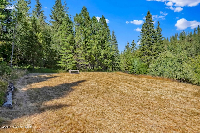 3115 Cherry Creek Rd, Saint Maries, ID 83861 - photo 58