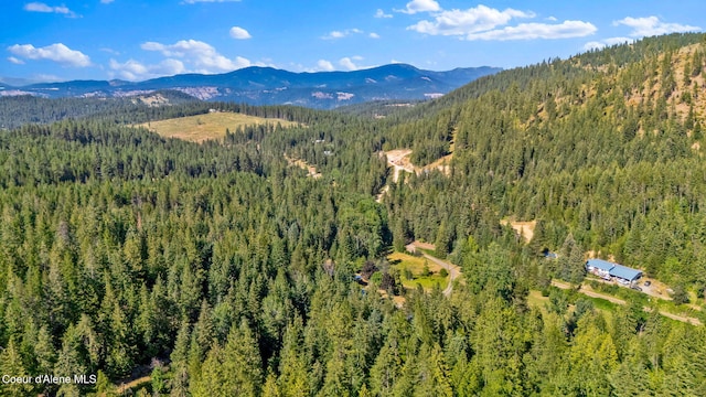 3115 Cherry Creek Rd, Saint Maries, ID 83861 - photo 65