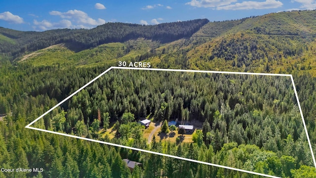 3115 Cherry Creek Rd, Saint Maries, ID 83861 - photo 67