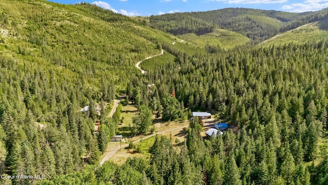 3115 Cherry Creek Rd, Saint Maries, ID 83861 - photo 74