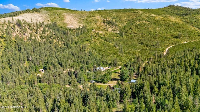 3115 Cherry Creek Rd, Saint Maries, ID 83861 - photo 76