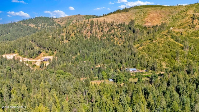 3115 Cherry Creek Rd, Saint Maries, ID 83861 - photo 77