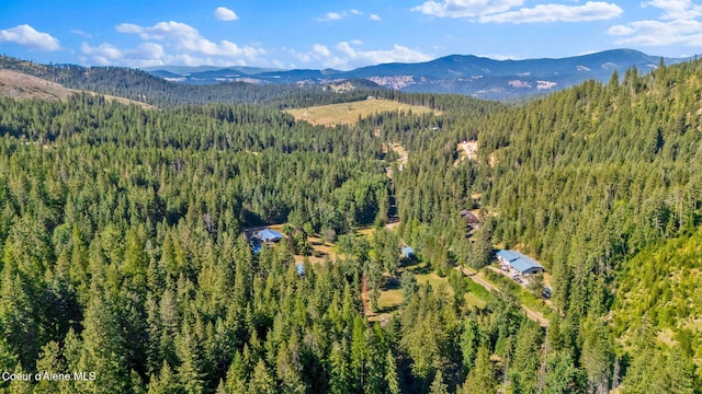 3115 Cherry Creek Rd, Saint Maries, ID 83861 - photo 78