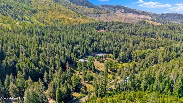 3115 Cherry Creek Rd, Saint Maries, ID 83861 - photo 79