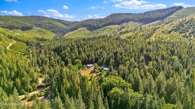 3115 Cherry Creek Rd, Saint Maries, ID 83861 - photo 80
