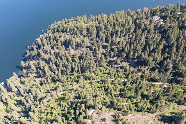 NNA E Moscow Bay Rd, Harrison, ID 83833 - photo 2