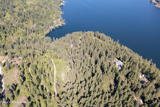 NNA E Moscow Bay Rd, Harrison, ID 83833 - photo 3