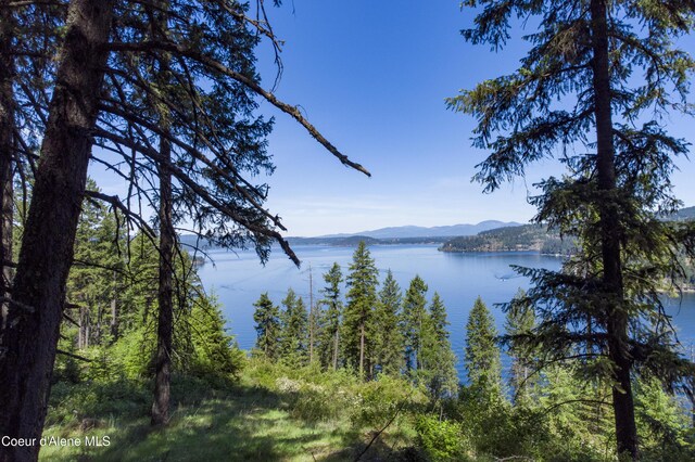 NNA E Moscow Bay Rd, Harrison, ID 83833 - photo 4