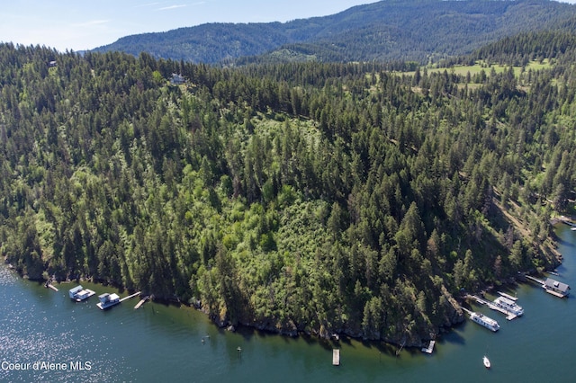 NNA E Moscow Bay Rd, Harrison, ID 83833 - photo 6