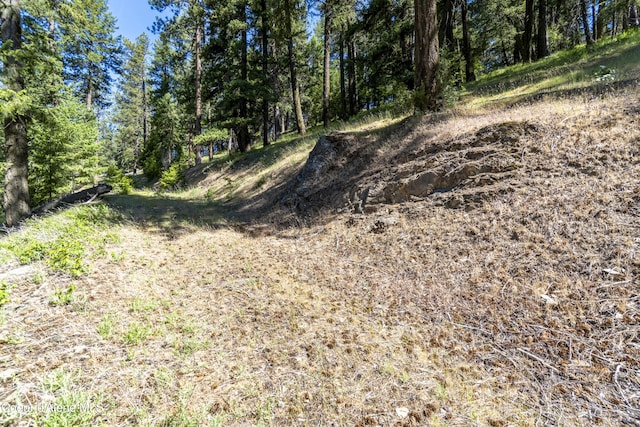 NNA E Moscow Bay Rd, Harrison, ID 83833 - photo 9