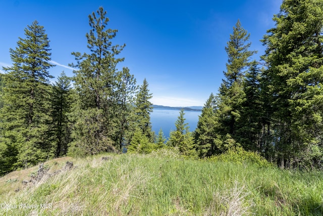 NNA E Moscow Bay Rd, Harrison, ID 83833 - photo 12
