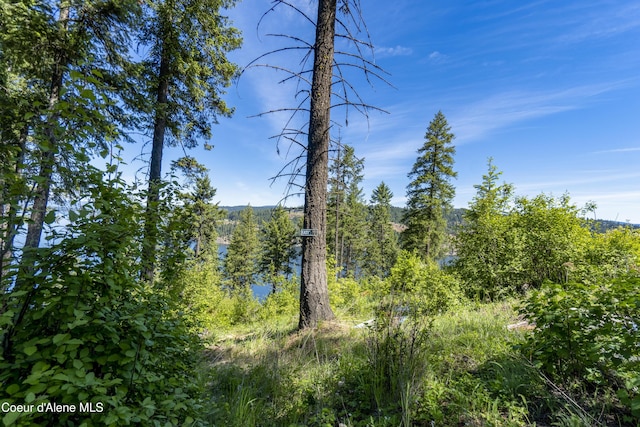 NNA E Moscow Bay Rd, Harrison, ID 83833 - photo 15