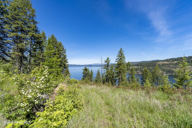 NNA E Moscow Bay Rd, Harrison, ID 83833 - photo 18