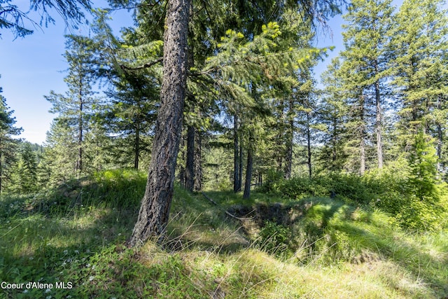 NNA E Moscow Bay Rd, Harrison, ID 83833 - photo 19