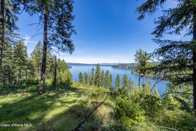 NNA E Moscow Bay Rd, Harrison, ID 83833 - photo 21